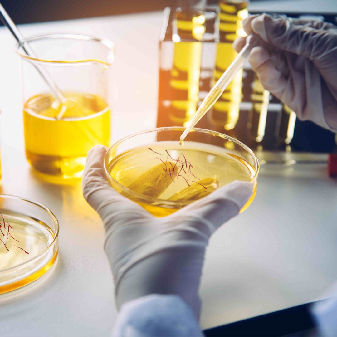 Scientist pipetting solution onto petri dish in a lab.